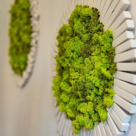 Bed & Bos De 14 Sterren Den Burg