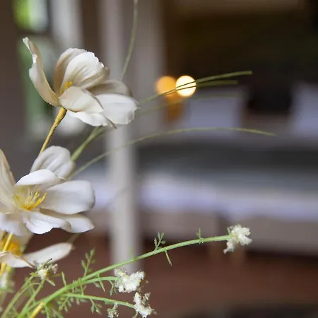 Hotel Bed & Bos De 14 Sterren 3*