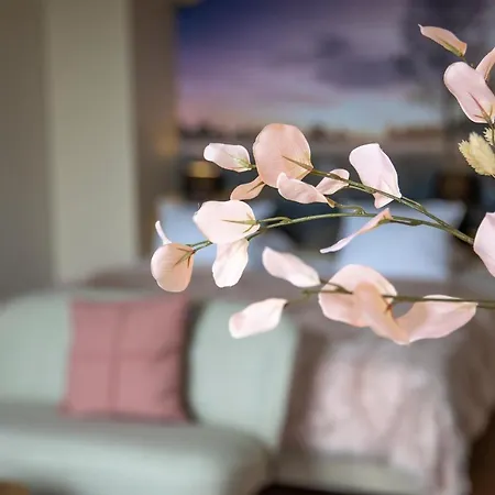 Bed & Bos De 14 Sterren מלון