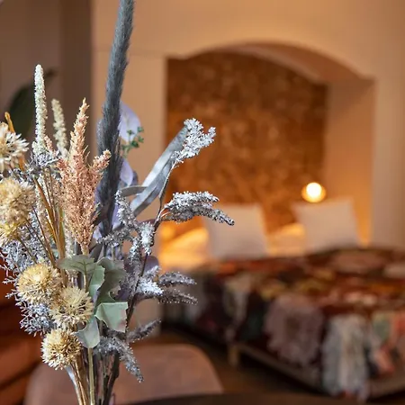 Bed & Bos De 14 Sterren 3* דה בורג