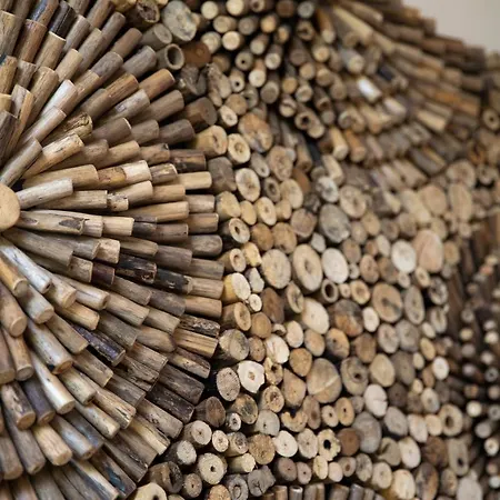 מלון Bed & Bos De 14 Sterren דה בורג