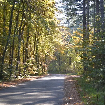 Bed & Bos De 14 Sterren