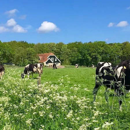 Hotel Bed & Bos De 14 Sterren Den Burg