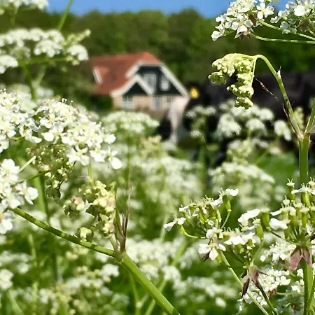 Bed & Bos De 14 Sterren 3*