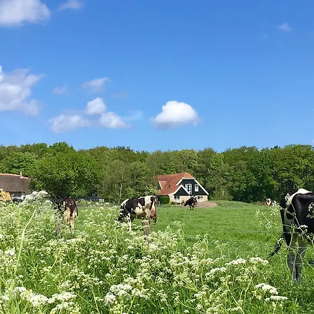 Bed & Bos De 14 Sterren