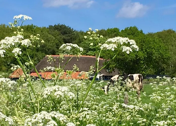 Bed & Bos De 14 Sterren 3* 덴버크