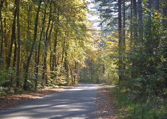 Bed & Bos De 14 Sterren