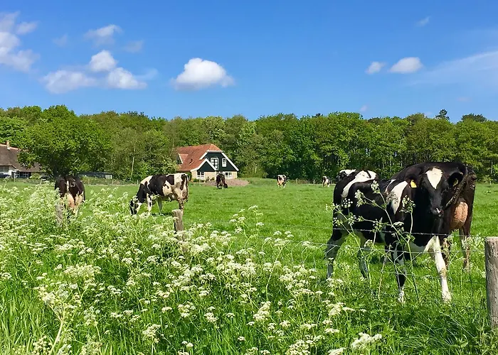 호텔 Bed & Bos De 14 Sterren 덴버크