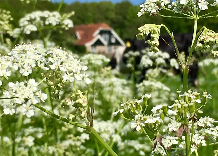 Bed & Bos De 14 Sterren 3*