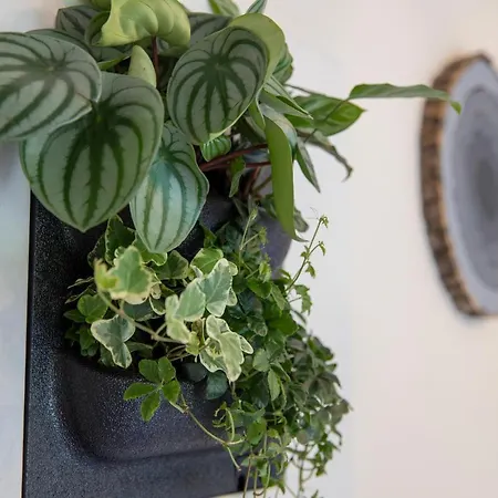 Bed & Bos De 14 Sterren Den Burg